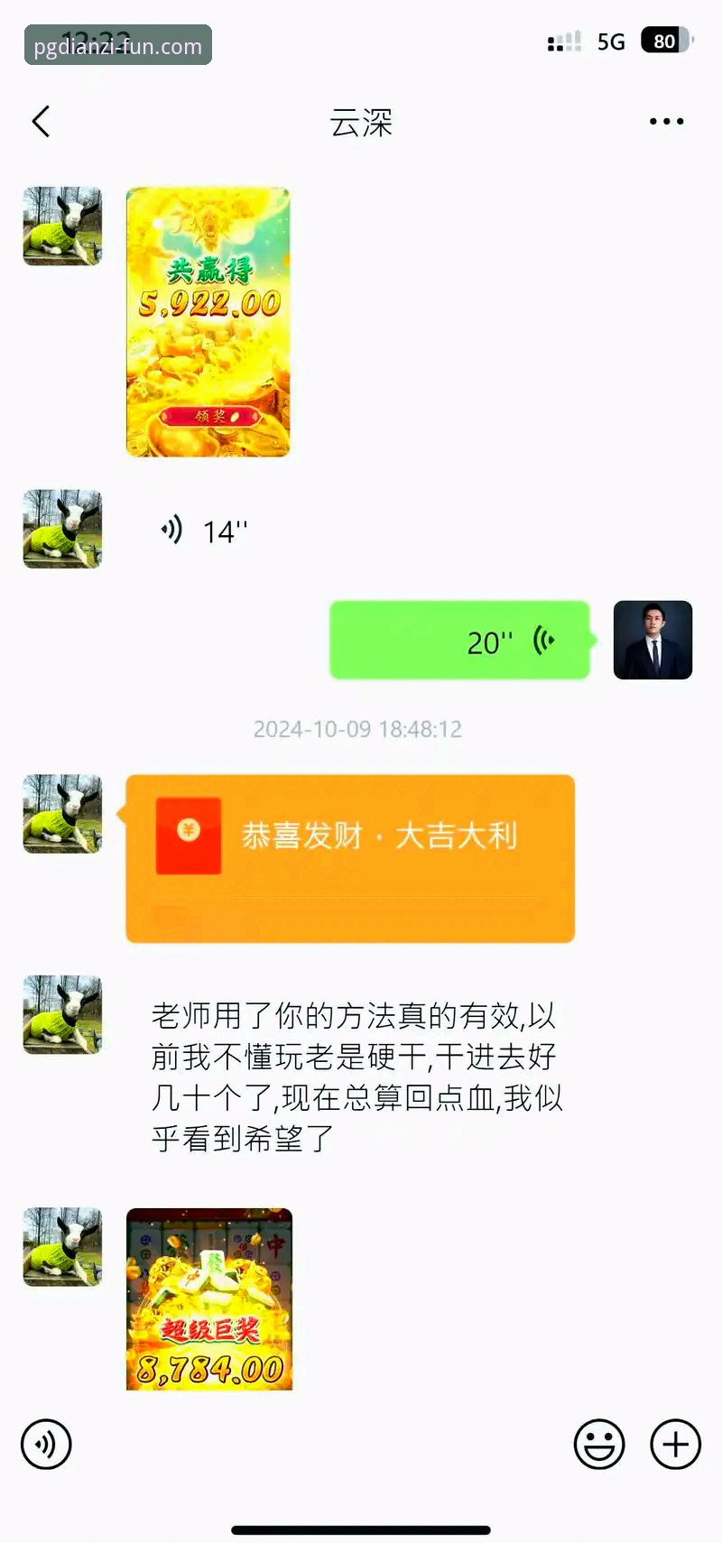 PG电子移动端娱乐 PG电子移动端娱乐实用技巧:从入门到精通的必备知识